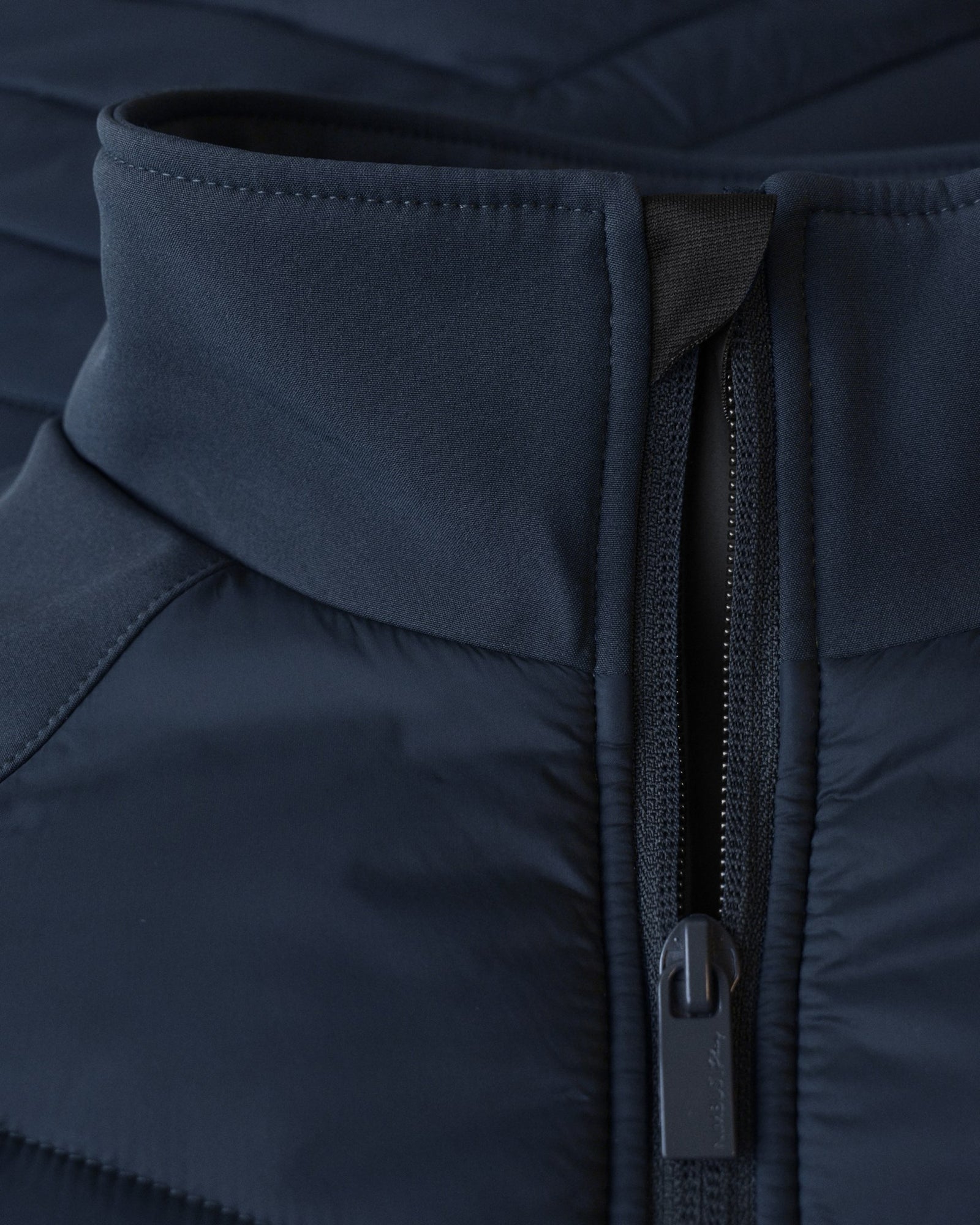 Bloomsdale Men Navy Back