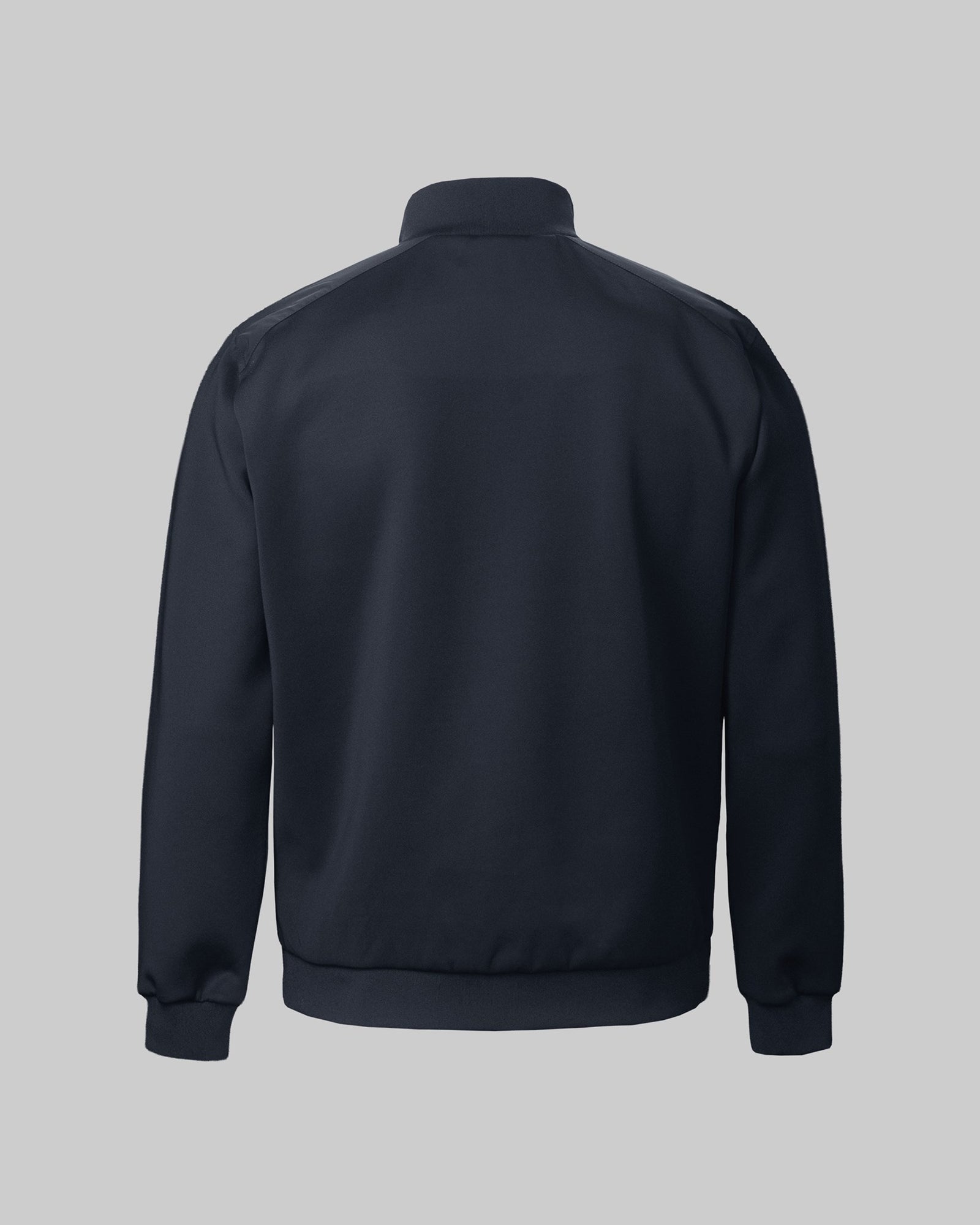 Westlake Men Navy Back